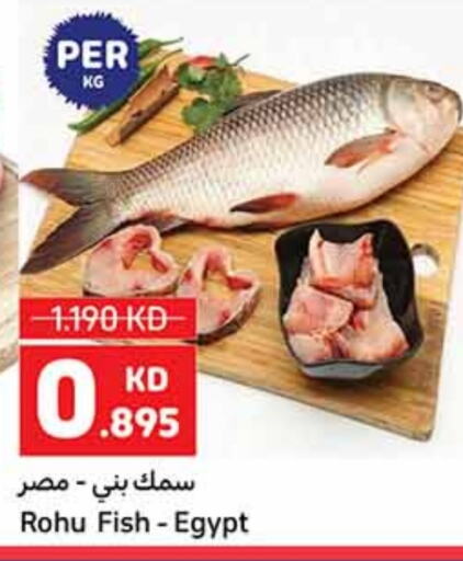 Fresh Fish in Carrefour, Kuwait Offers - Kuwait available at Carrefour in Kuwait - Ahmadi Governorate