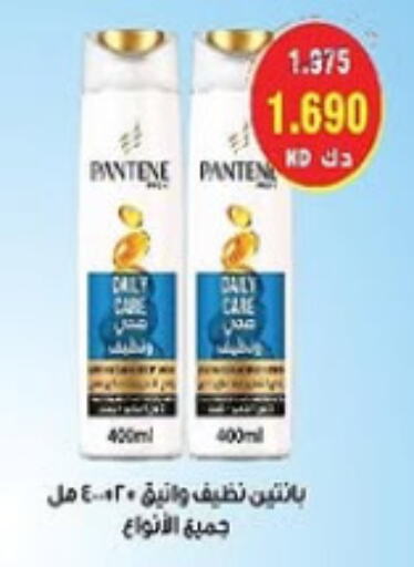 Hair Care in Al- Surra Cooperative Society, Kuwait Offers - Kuwait PANTENE Shampoo / Conditioner available at Al- Surra Cooperative Society in Kuwait - Jahra Governorate