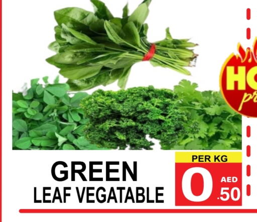 Fresh Vegetables in Friday Center, UAE Offers - United Arab Emirates available at Friday Center in UAE - Sharjah / Ajman