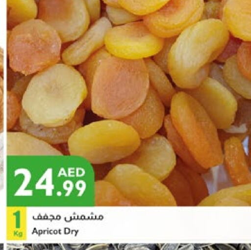 Apricot available at Istanbul Supermarket in UAE - Ras al Khaimah