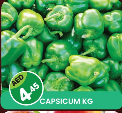 Fresh Vegetables in Fresh Spike Supermarket, UAE Offers - United Arab Emirates Chilli / Capsicum available at Fresh Spike Supermarket in UAE - Dubai