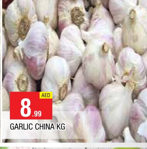 ثوم from China available at المدينة in الإمارات العربية المتحدة , الامارات - الشارقة / عجمان