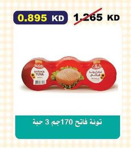 لونا تونة - معلب available at جمعية السلام التعاونية in الكويت - مدينة الكويت