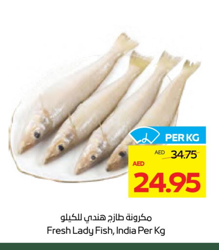 Fresh Fish in ADCOOP, UAE Offers - United Arab Emirates available at ADCOOP in UAE - Abu Dhabi