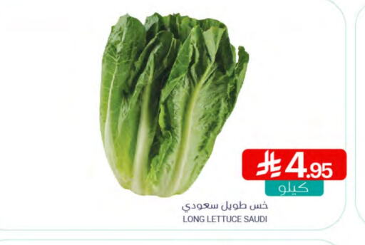 Lettuce from Saudi Arabia available at اسواق المنتزه in مملكة العربية السعودية, السعودية, سعودية - القطيف‎