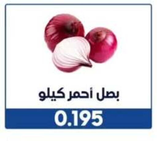 Onion available at Wafra Co-operative Society in Kuwait - Ahmadi Governorate