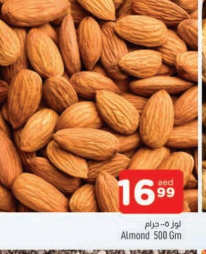 Dried Fruits & Dates in AL MADINA, UAE Offers - United Arab Emirates available at AL MADINA in UAE - Sharjah / Ajman