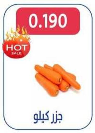 Carrot available at Al Jahra Cooperative Society in Kuwait - Jahra Governorate