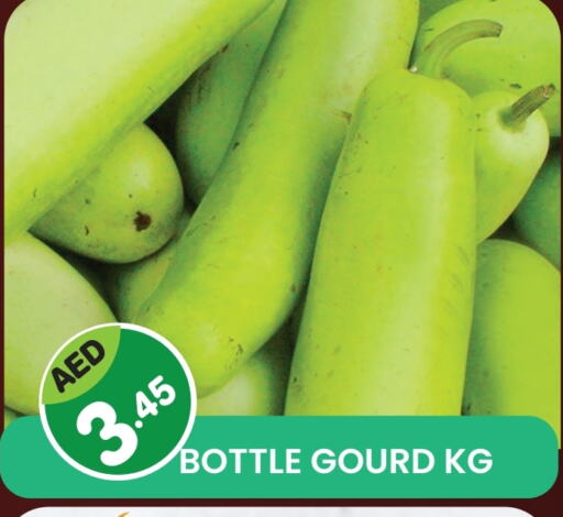 Fresh Vegetables in Fresh Spike Supermarket, UAE Offers - United Arab Emirates Gourd available at Fresh Spike Supermarket in UAE - Dubai