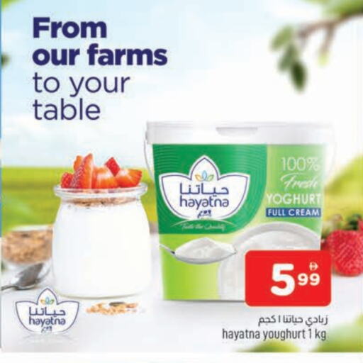 Yogurt & Labneh in AL MADINA, UAE Offers - United Arab Emirates HAYATNA Yoghurt available at AL MADINA in UAE - Sharjah / Ajman