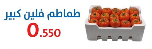 Tomato available at Al Sha'ab Co-op Society in Kuwait - Kuwait City
