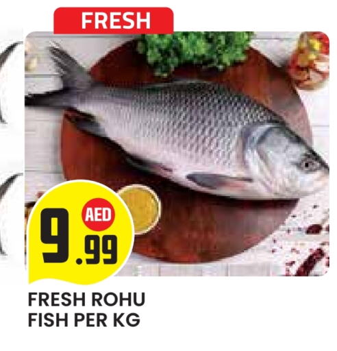 available at سنابل بني ياس in الإمارات العربية المتحدة , الامارات - أبو ظبي