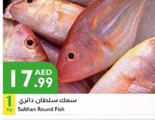 available at إسطنبول سوبرماركت in الإمارات العربية المتحدة , الامارات - رَأْس ٱلْخَيْمَة
