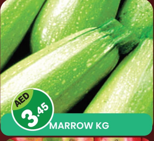 Marrow available at فريش سبايك سوبرماركت in الإمارات العربية المتحدة , الامارات - دبي