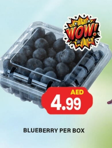 Fresh Fruits in Gulf Hypermarket LLC, UAE Offers - United Arab Emirates Blueberry BlueBerry available at Gulf Hypermarket LLC in UAE - Ras al Khaimah