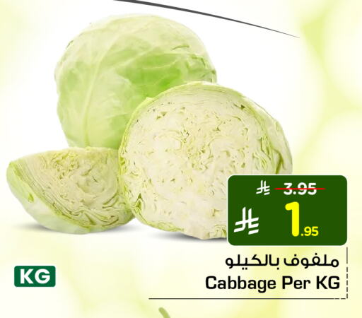 Cabbage available at Hyper Al Wafa in KSA, Saudi Arabia, Saudi - Ta'if