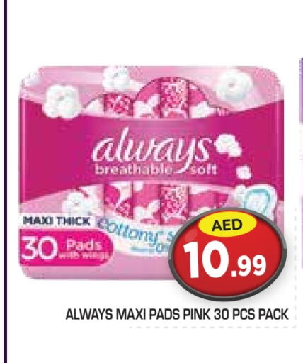 ألويز available at سنابل بني ياس in الإمارات العربية المتحدة , الامارات - أبو ظبي