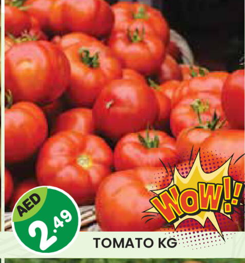 طماطم available at سنابل بني ياس in الإمارات العربية المتحدة , الامارات - أبو ظبي
