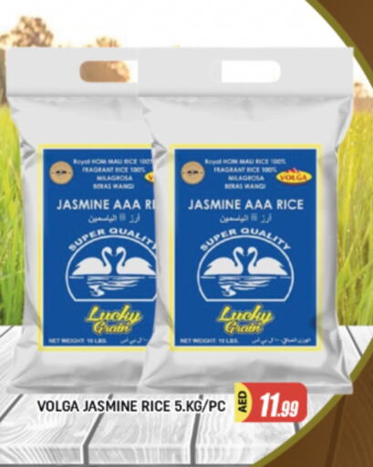 فولغا أرز ياسمين available at المدينة in الإمارات العربية المتحدة , الامارات - الشارقة / عجمان