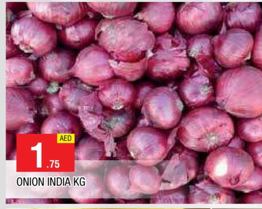 بصل from India available at المدينة in الإمارات العربية المتحدة , الامارات - الشارقة / عجمان
