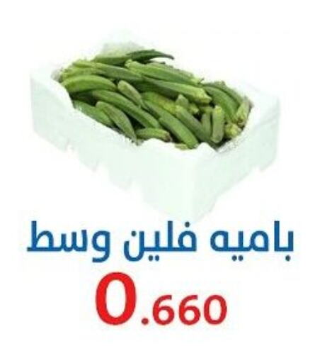 Lady's finger available at Al Sha'ab Co-op Society in Kuwait - Kuwait City