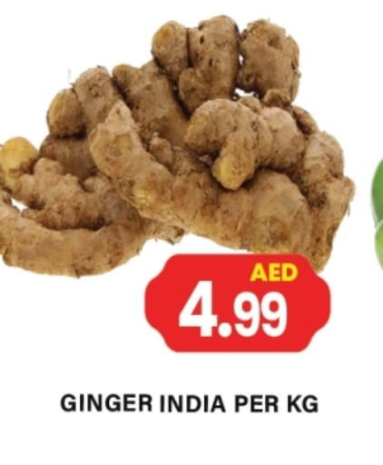 Ginger from India available at Gulf Hypermarket LLC in UAE - Ras al Khaimah