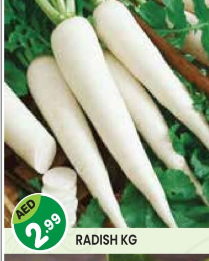 Radish available at Baniyas Spike  in UAE - Abu Dhabi