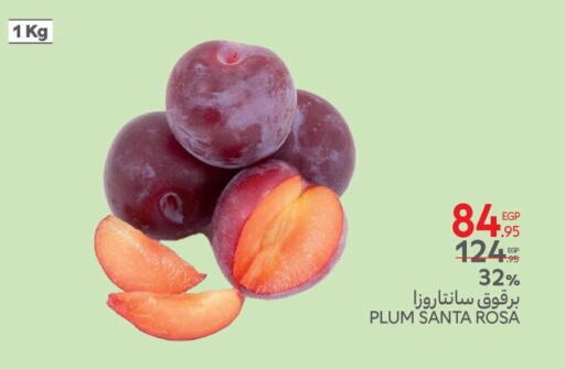 Plum available at كارفور in Egypt - القاهرة