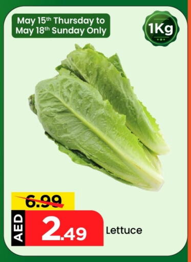 Fresh Vegetables in Mark & Save, UAE Offers - United Arab Emirates Lettuce available at Mark & Save in UAE - Dubai