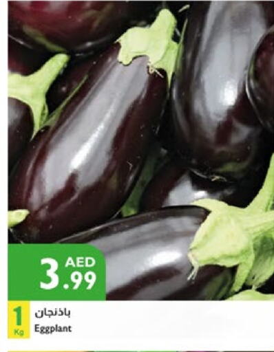Eggplant available at Istanbul Supermarket in UAE - Ras al Khaimah