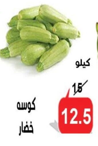 Fresh Vegetables in Aldoneia Bkheir ismailia , Egypt Offers - Egypt Zucchini available at Aldoneia Bkheir ismailia in Egypt - Cairo