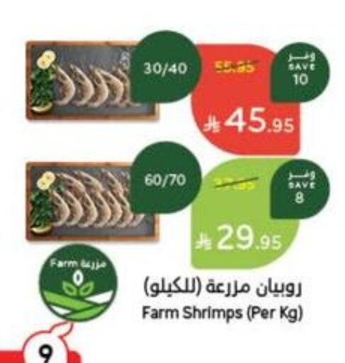 Fresh Fish in Hyper Panda, Saudi Arabia Offers - Saudi Arabia available at Hyper Panda in KSA, Saudi Arabia, Saudi - Najran