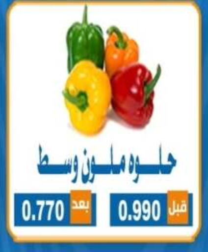 Fresh Vegetables in Alshuhada co.op, Kuwait Offers - Kuwait available at Alshuhada co.op in Kuwait - Ahmadi Governorate