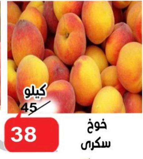 Fresh Fruits in Aldoneia Bkheir ismailia , Egypt Offers - Egypt Peach available at Aldoneia Bkheir ismailia in Egypt - Cairo