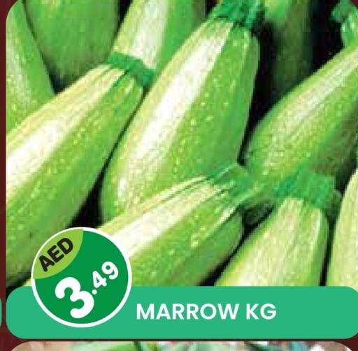 Fresh Vegetables in Baniyas Spike , UAE Offers - United Arab Emirates Marrow available at Baniyas Spike in UAE - Sharjah / Ajman