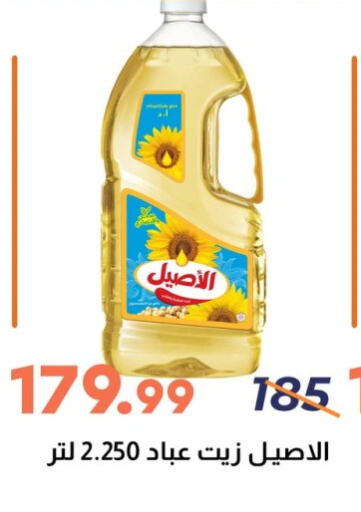available at Ghallab Market in Egypt - Cairo