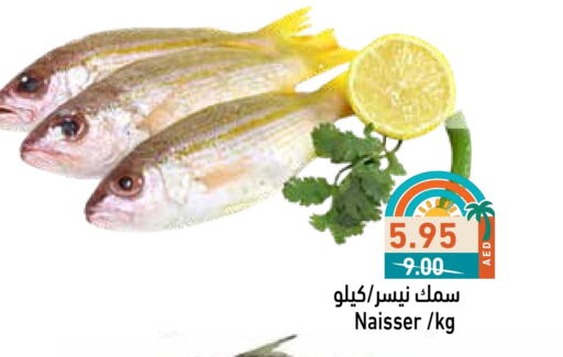 available at أسواق رامز in الإمارات العربية المتحدة , الامارات - رَأْس ٱلْخَيْمَة