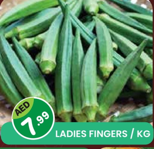 Fresh Vegetables in Baniyas Spike , UAE Offers - United Arab Emirates available at Baniyas Spike in UAE - Sharjah / Ajman