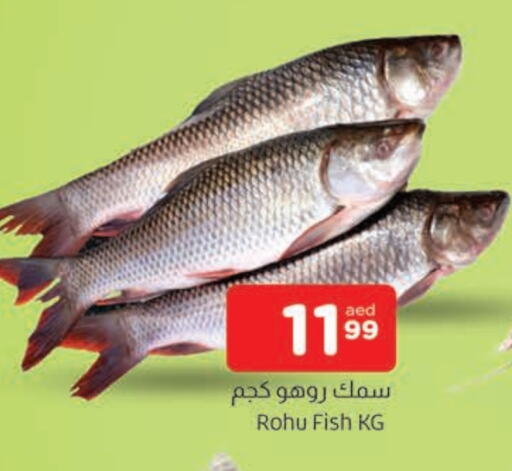 available at AL MADINA in UAE - Sharjah / Ajman