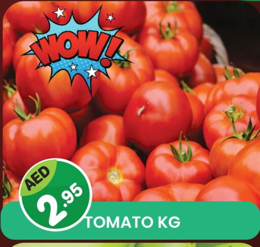 Tomato available at Fresh Spike Supermarket in UAE - Dubai