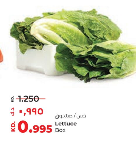 Lettuce available at Lulu Hypermarket  in Kuwait - Jahra Governorate