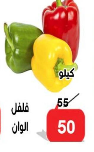 Fresh Vegetables in Aldoneia Bkheir ismailia , Egypt Offers - Egypt Chilli / Capsicum available at Aldoneia Bkheir ismailia in Egypt - Cairo