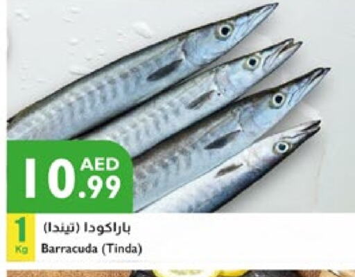 available at Istanbul Supermarket in UAE - Ras al Khaimah