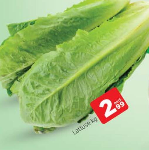 available at AL MADINA in UAE - Sharjah / Ajman