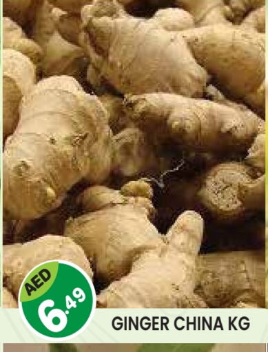Ginger from China available at Baniyas Spike  in UAE - Abu Dhabi