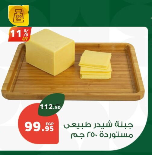 Cheddar Cheese available at Panda  in Egypt - Cairo
