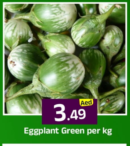 الخضروات الطازجة in مبارك هايبرماركت الشارقة, UAE Offers - الإمارات العربية المتحدة Eggplant available at مبارك هايبرماركت الشارقة in الإمارات العربية المتحدة , الامارات - الشارقة / عجمان