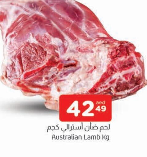 لحم الضأن / الغنم available at المدينة in الإمارات العربية المتحدة , الامارات - الشارقة / عجمان