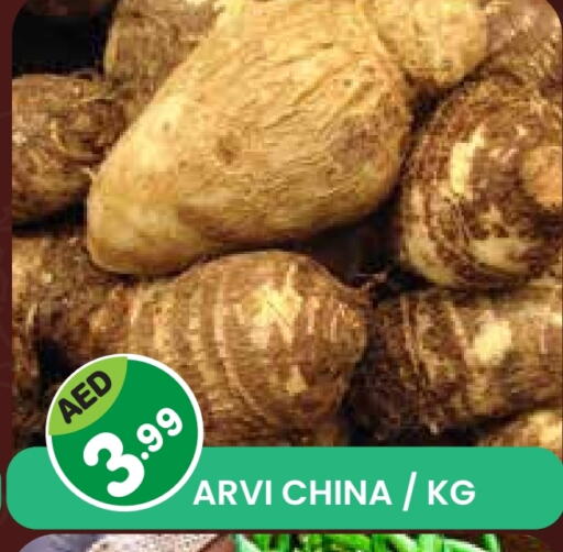 Fresh Vegetables in Baniyas Spike , UAE Offers - United Arab Emirates from China available at Baniyas Spike in UAE - Sharjah / Ajman