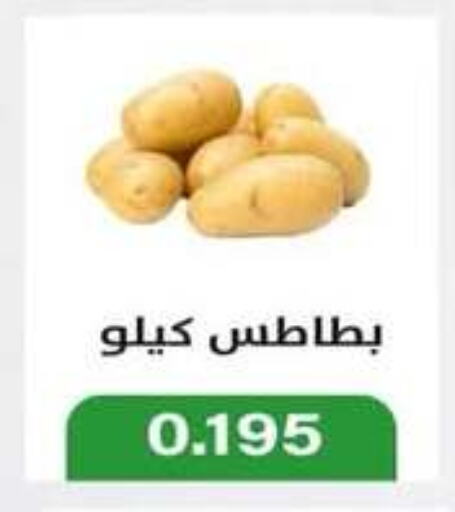 Potato available at Jleeb Coop in Kuwait - Kuwait City